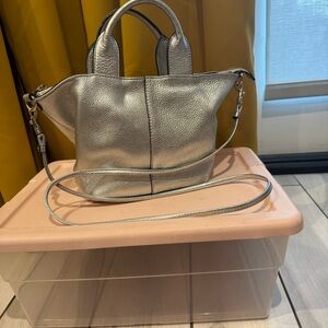Banana Republic Metallic Silver Crossbody Bag